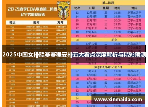 2025中国女排联赛赛程安排五大看点深度解析与精彩预测