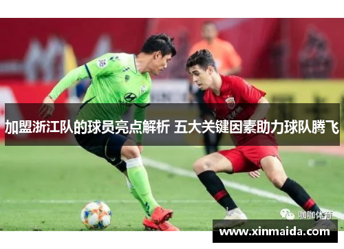 加盟浙江队的球员亮点解析 五大关键因素助力球队腾飞