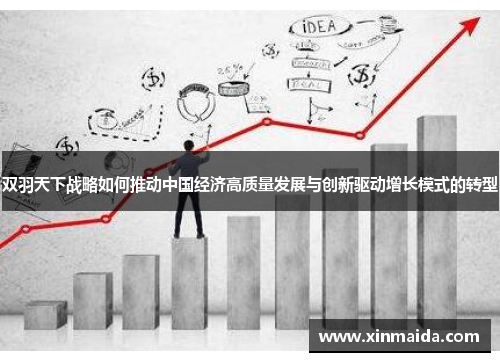 双羽天下战略如何推动中国经济高质量发展与创新驱动增长模式的转型