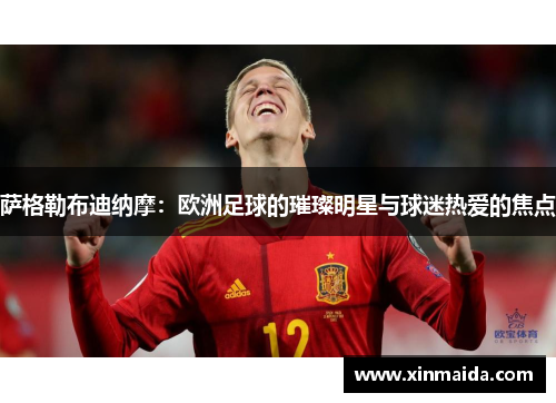 萨格勒布迪纳摩:欧洲足球的璀璨明星与球迷热爱的焦点