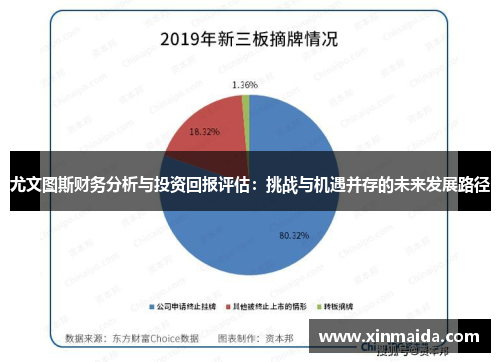 尤文图斯财务分析与投资回报评估：挑战与机遇并存的未来发展路径